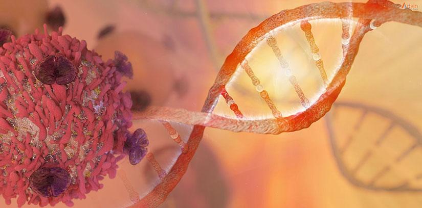 Advanced Cancer Treatment in India: Why Patients Choose Leading Cancer Hospitals